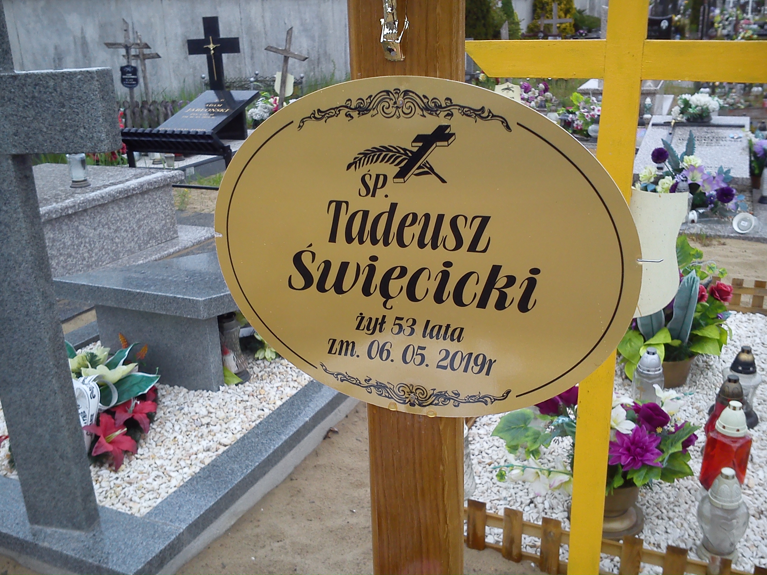 Tadeusz Święcicki 1966 Ostrołęka - Grobonet - Wyszukiwarka osób pochowanych