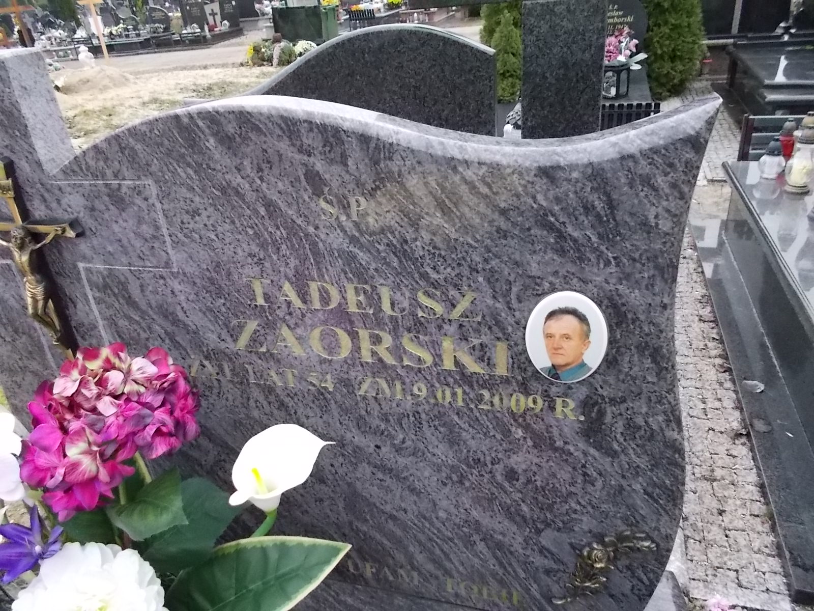 Tadeusz Zaorski 1954 Ostrołęka - Grobonet - Wyszukiwarka osób pochowanych
