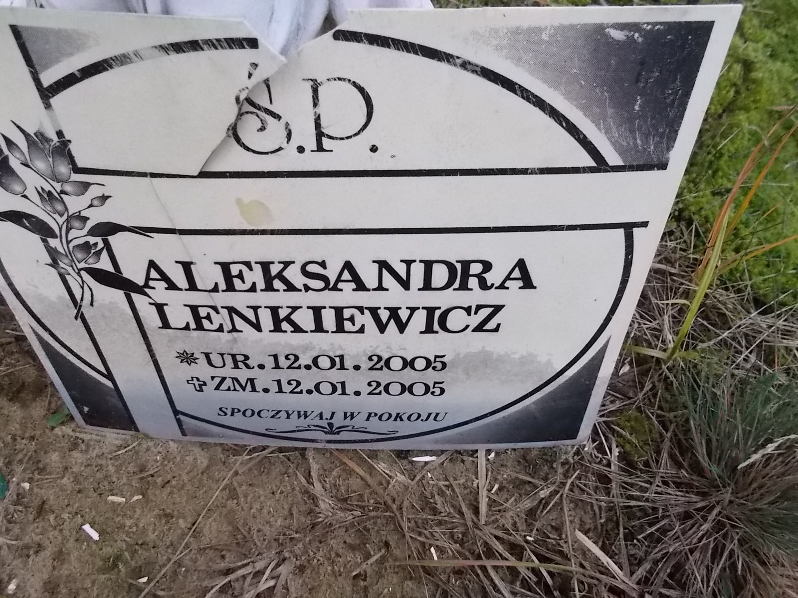 Aleksandra LENKIEWICZ 2005 Ostrołęka - Grobonet - Wyszukiwarka osób pochowanych