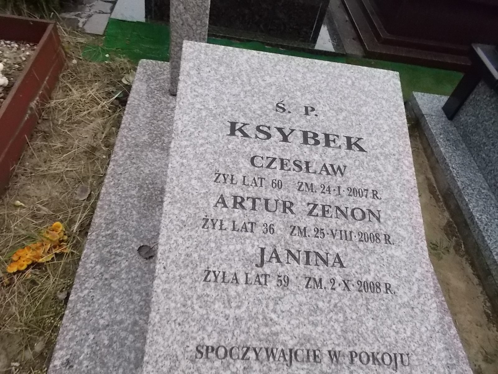 Janina Ksybek 1949 Ostrołęka - Grobonet - Wyszukiwarka osób pochowanych