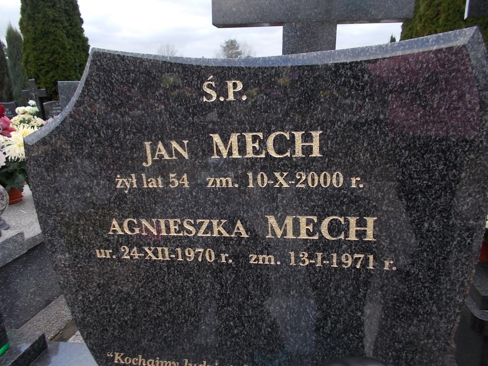 Jan Mech 1946 Ostrołęka - Grobonet - Wyszukiwarka osób pochowanych