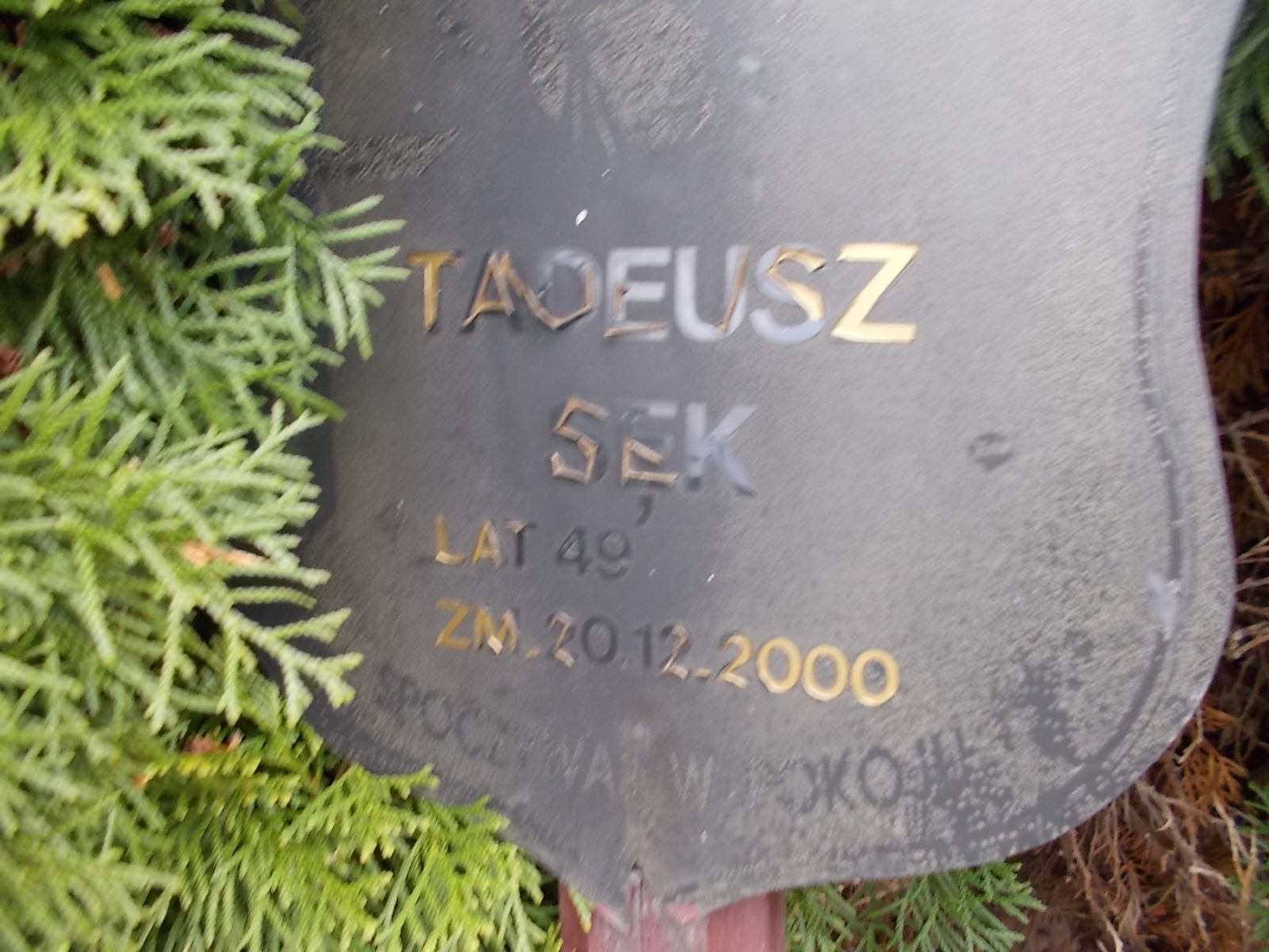 Tadeusz Sęk 1951 Ostrołęka - Grobonet - Wyszukiwarka osób pochowanych