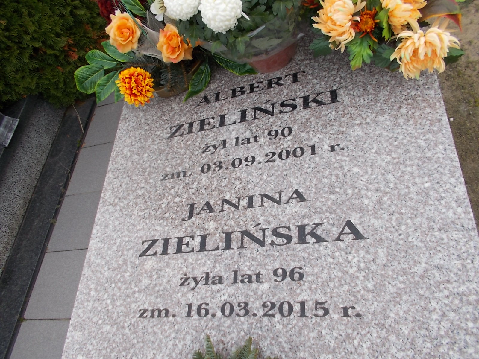 Albert Zieliński 1911 Ostrołęka - Grobonet - Wyszukiwarka osób pochowanych