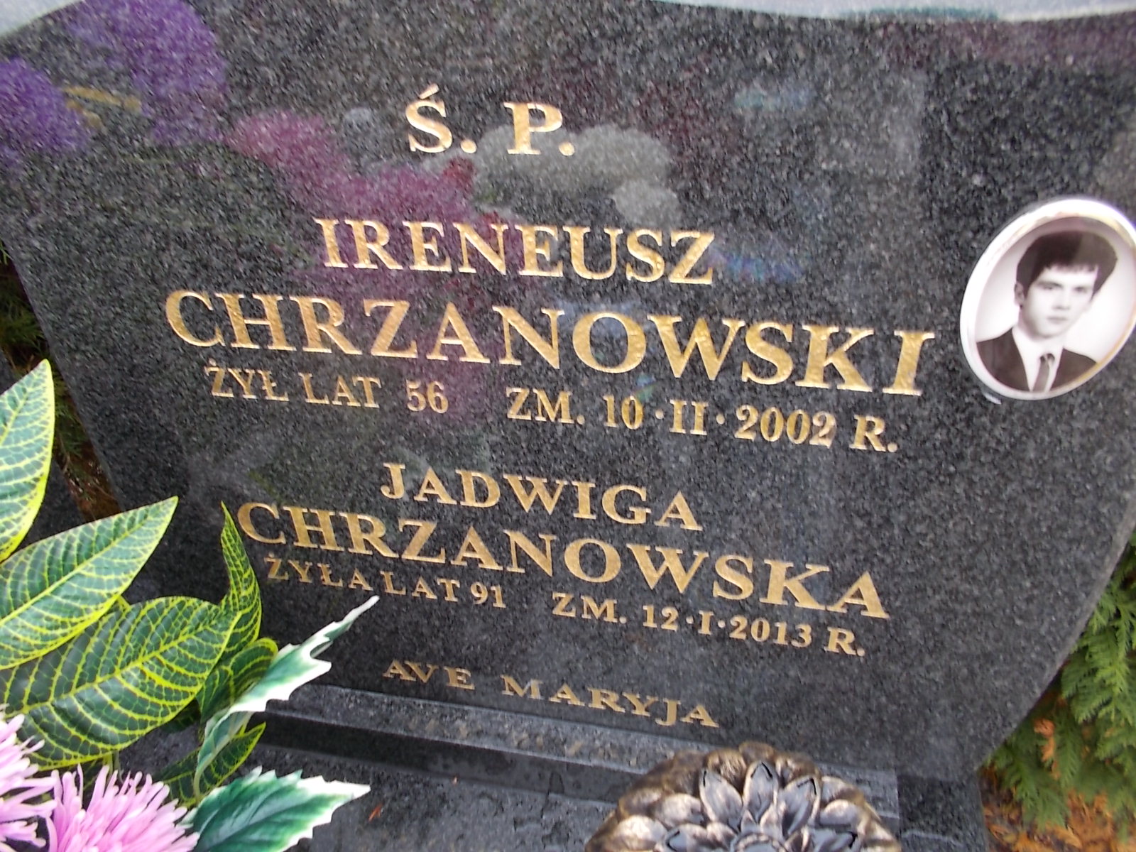 Jadwiga Chrzanowska 1921 Ostrołęka - Grobonet - Wyszukiwarka osób pochowanych