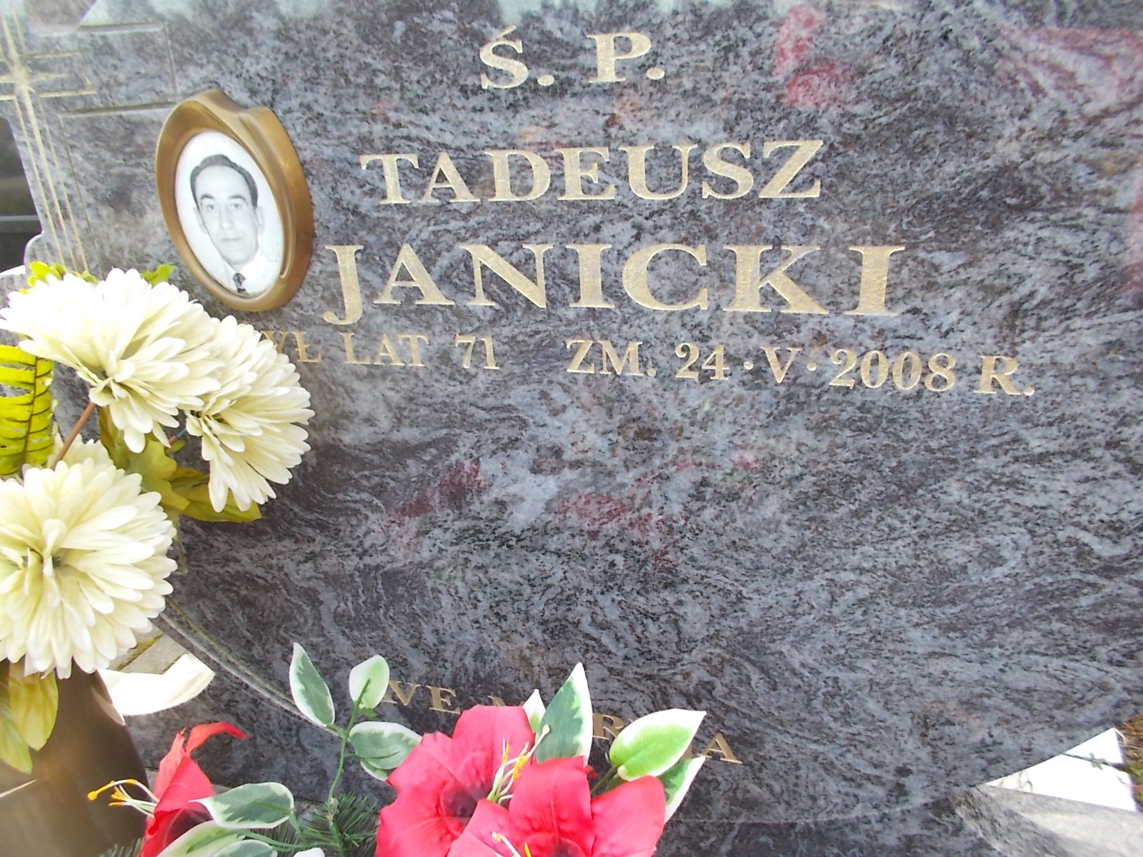 Tadeusz Janicki 1937 Ostrołęka - Grobonet - Wyszukiwarka osób pochowanych