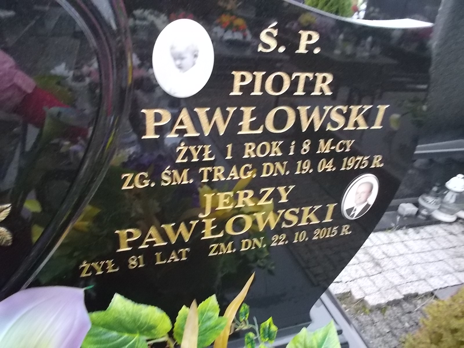 Piotr Pawłowski 1973 Ostrołęka - Grobonet - Wyszukiwarka osób pochowanych