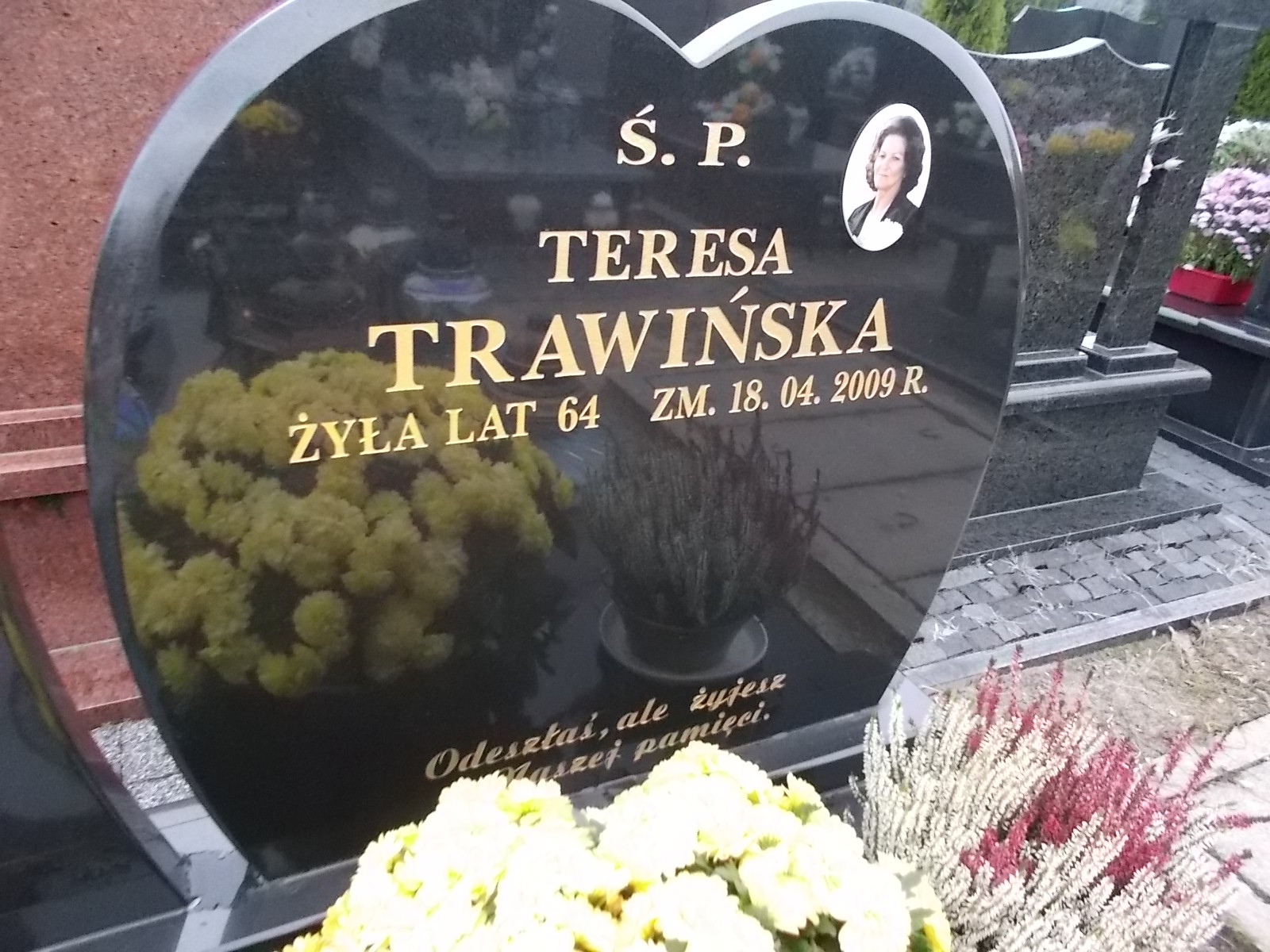 Władysław Trawiński 1943 Ostrołęka - Grobonet - Wyszukiwarka osób pochowanych