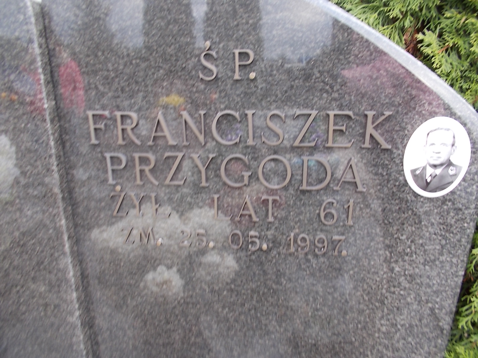 Franciszek PRZYGODA 1936 Ostrołęka - Grobonet - Wyszukiwarka osób pochowanych