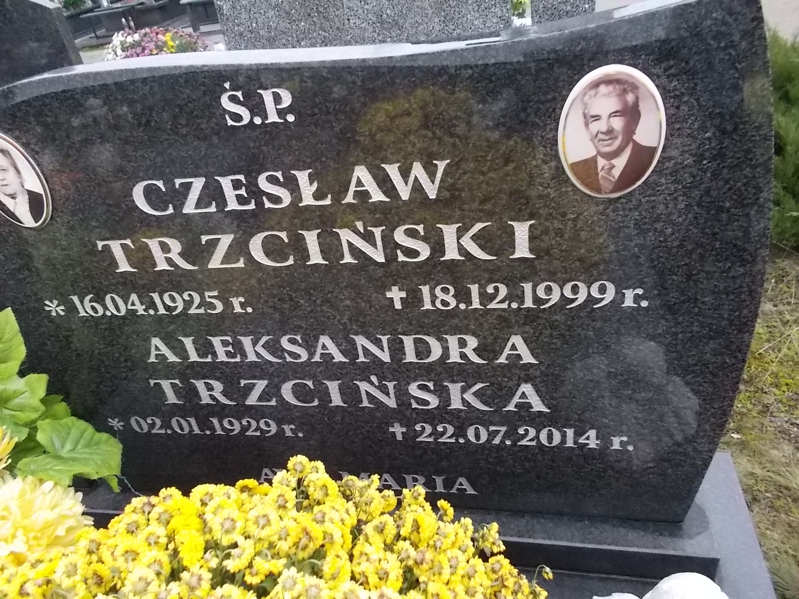 Aleksandra Trzcińska 1929 Ostrołęka - Grobonet - Wyszukiwarka osób pochowanych