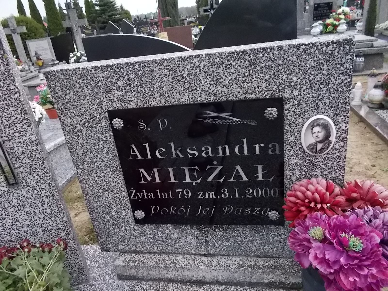 Aleksandra Mężał 1920 Ostrołęka - Grobonet - Wyszukiwarka osób pochowanych