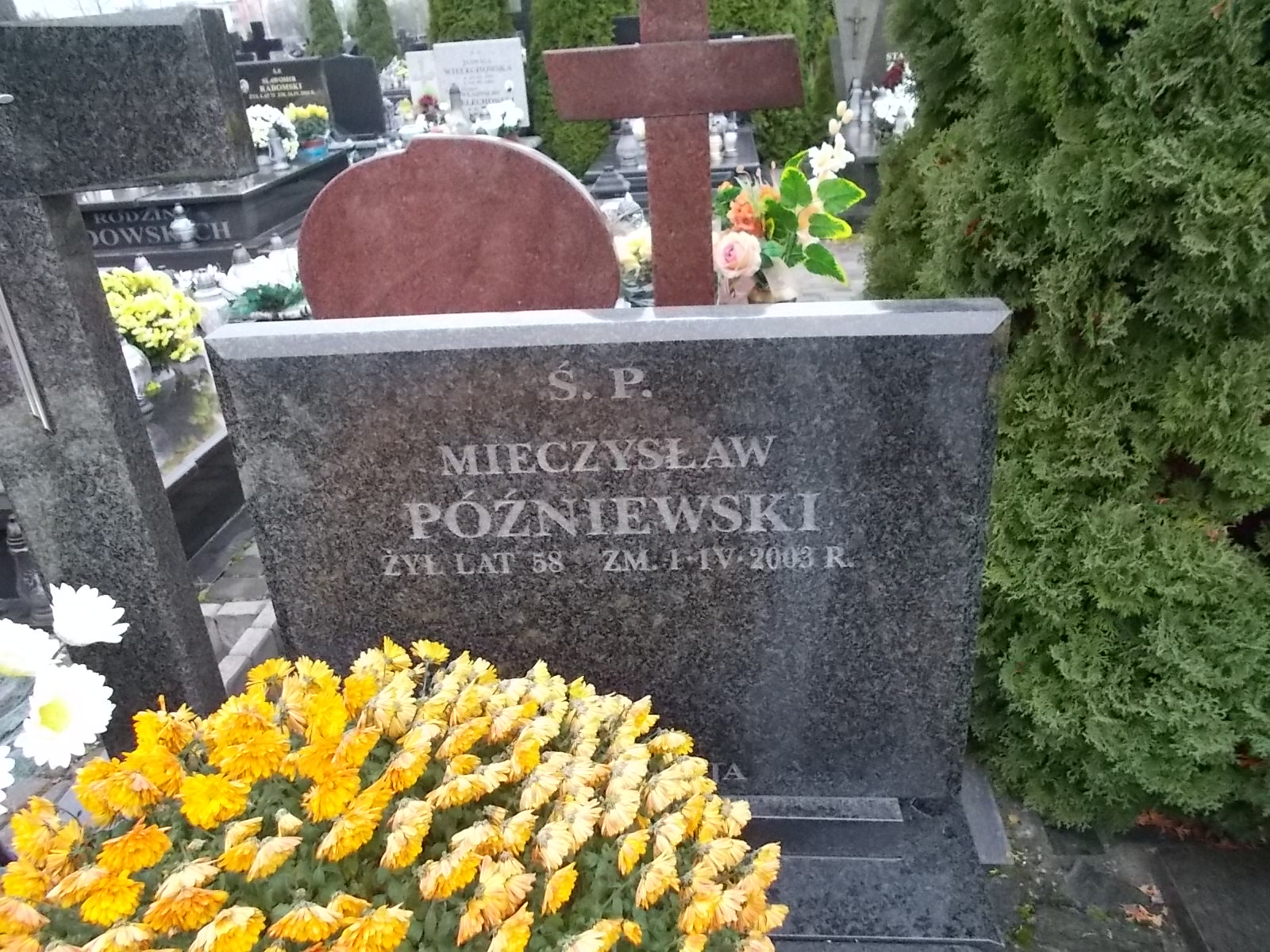 Mieczysław Późniewski 1945 Ostrołęka - Grobonet - Wyszukiwarka osób pochowanych