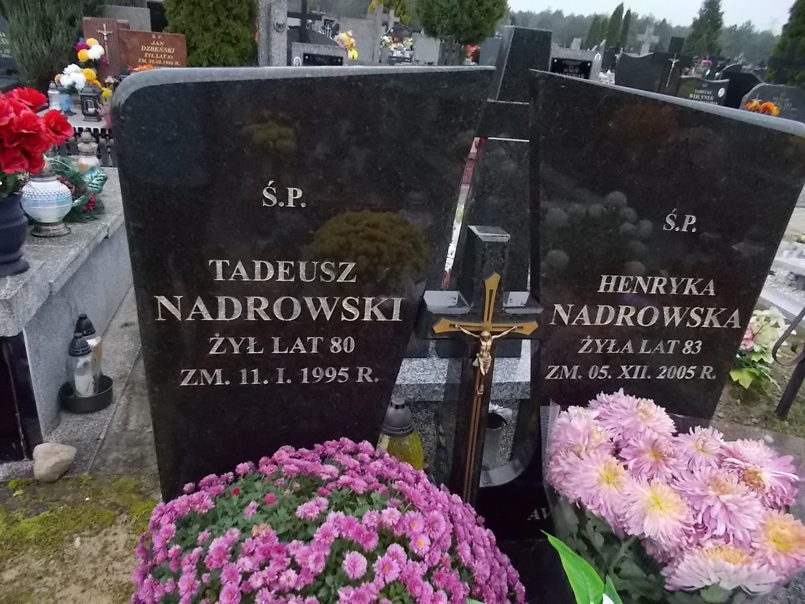 Tadeusz NADROWSKI 1914 Ostrołęka - Grobonet - Wyszukiwarka osób pochowanych