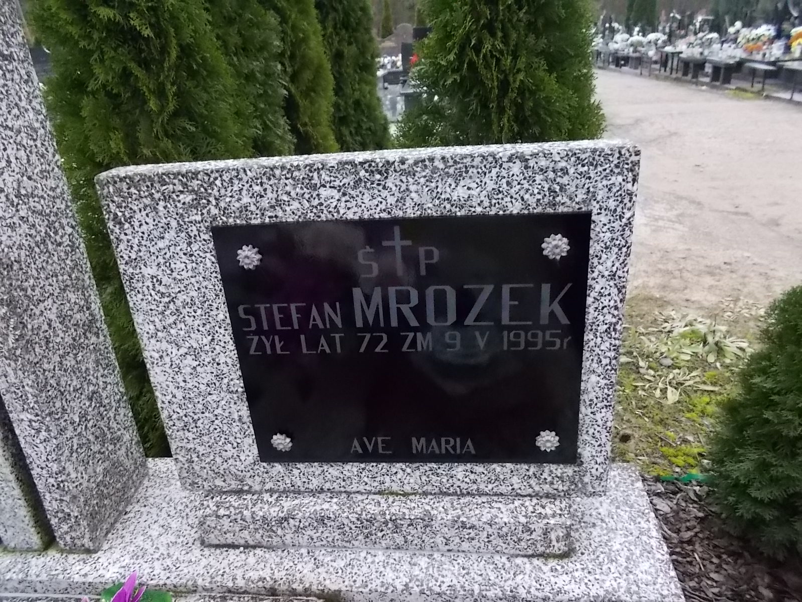 Stefan MROZEK 1923 Ostrołęka - Grobonet - Wyszukiwarka osób pochowanych