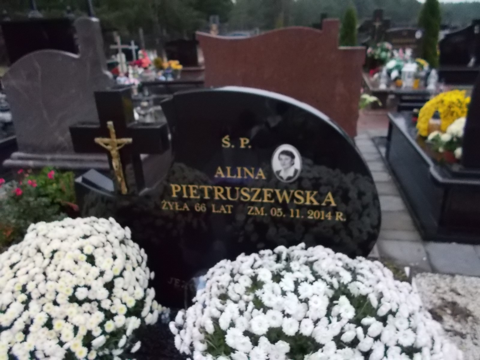 Józef Pietruszewski 1946 Ostrołęka - Grobonet - Wyszukiwarka osób pochowanych