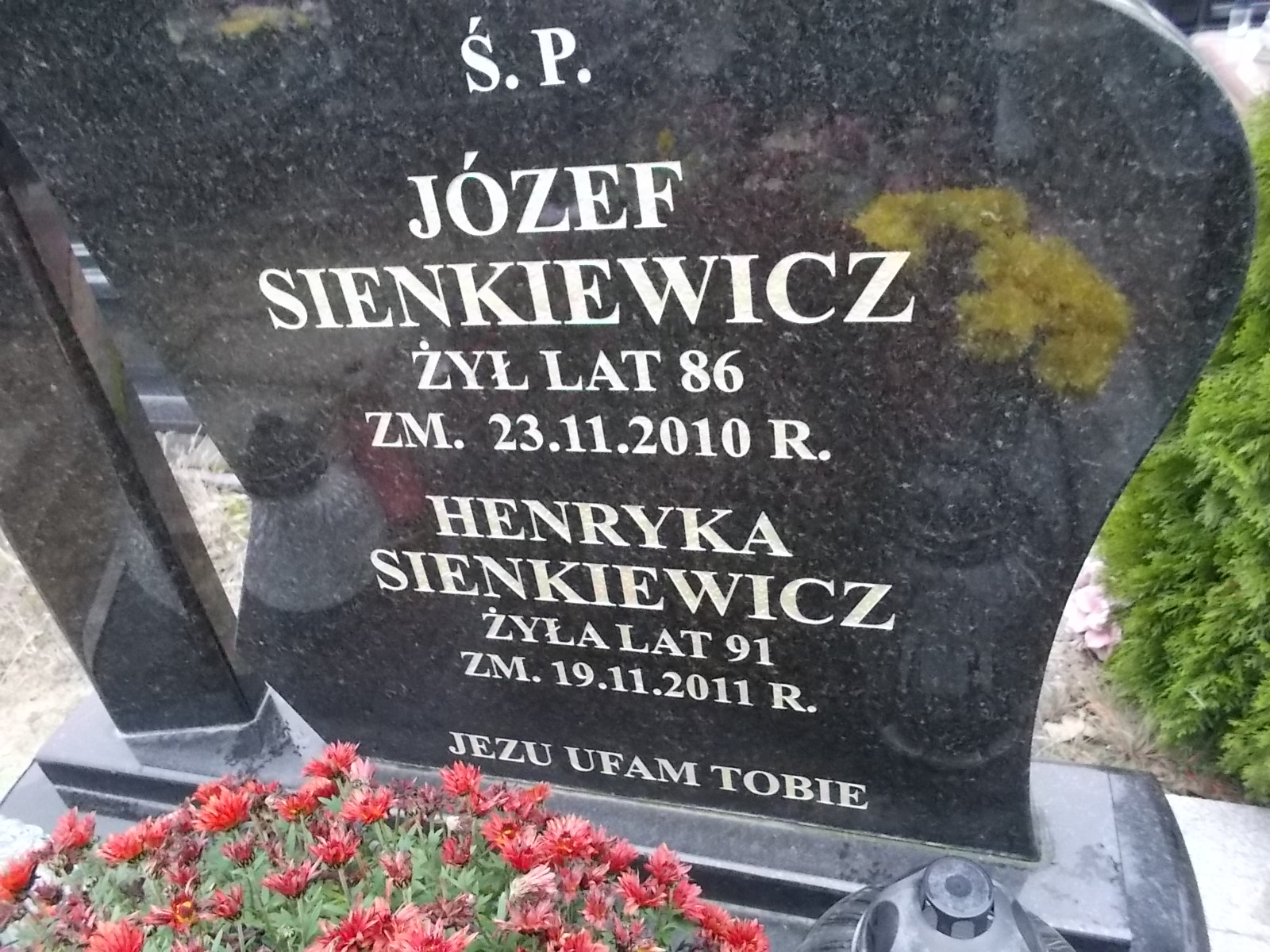 Józef Sienkiewicz 1924 Ostrołęka - Grobonet - Wyszukiwarka osób pochowanych