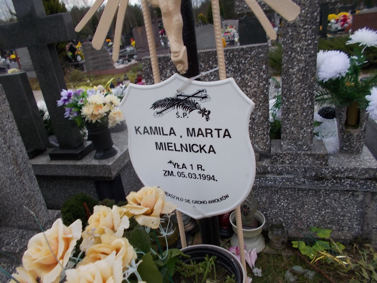 Kamila Marta MIELNICKA 1993 Ostrołęka - Grobonet - Wyszukiwarka osób pochowanych