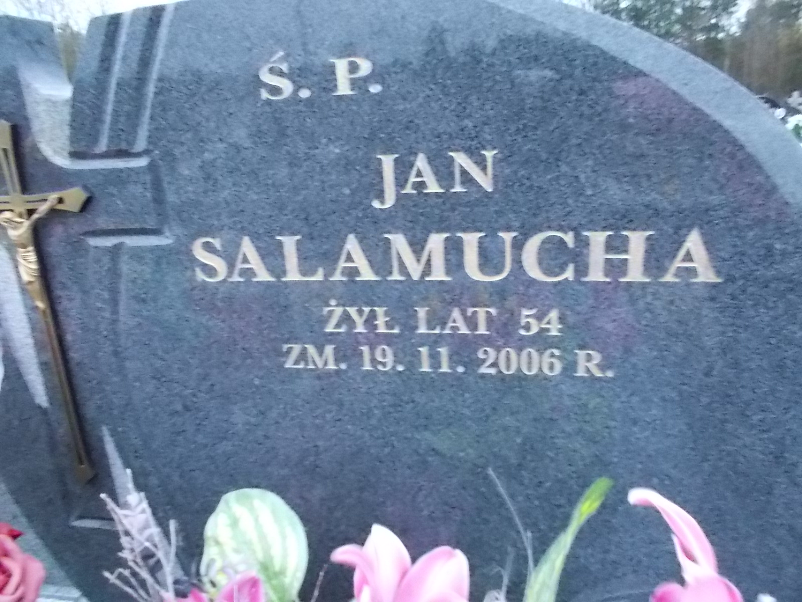 Jan Salamucha 1952 Ostrołęka - Grobonet - Wyszukiwarka osób pochowanych