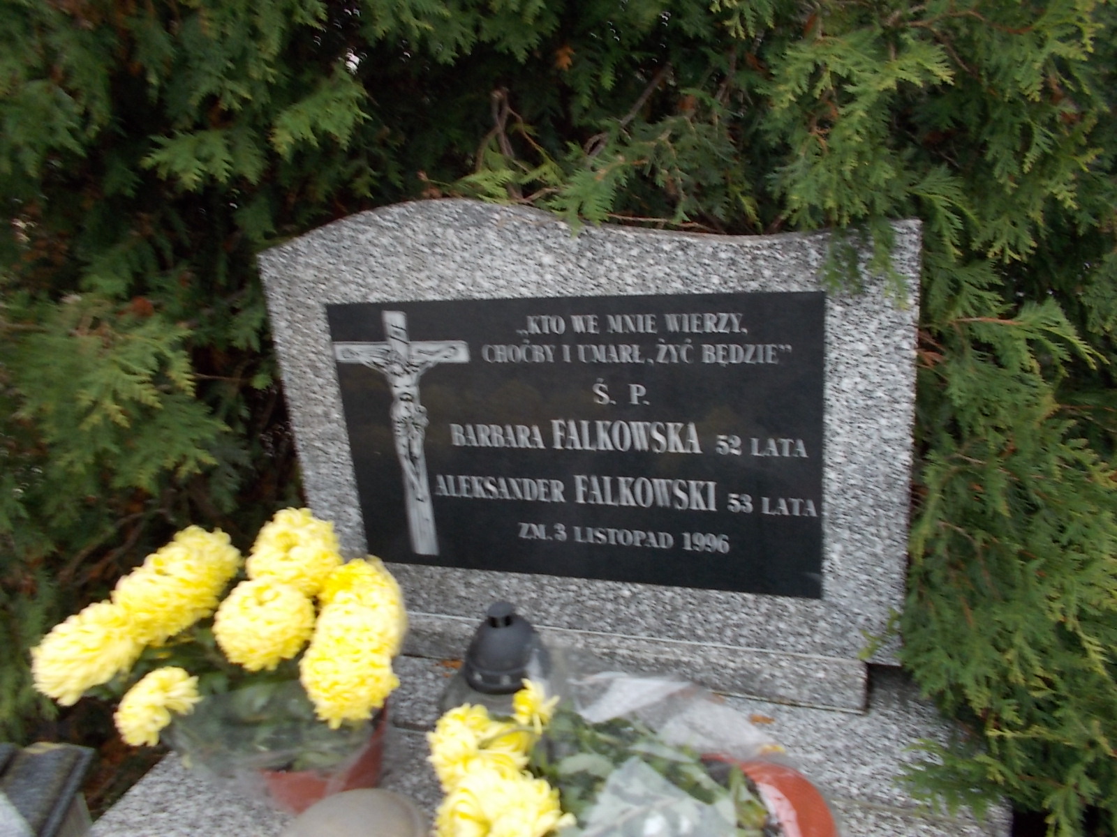 Aleksander FALKOWSKI 1943 Ostrołęka - Grobonet - Wyszukiwarka osób pochowanych