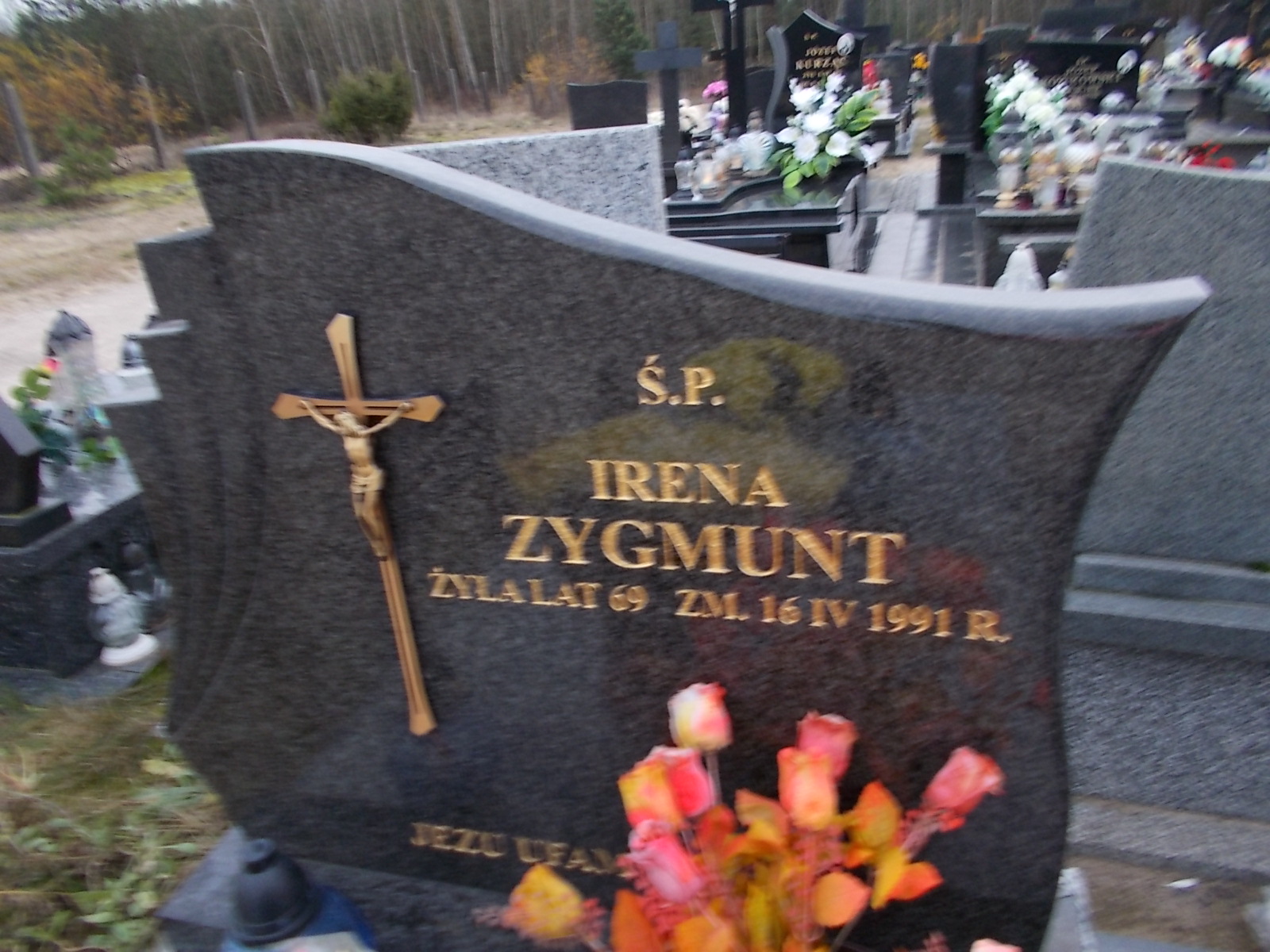 Irena Zygmunt 1922 Ostrołęka - Grobonet - Wyszukiwarka osób pochowanych