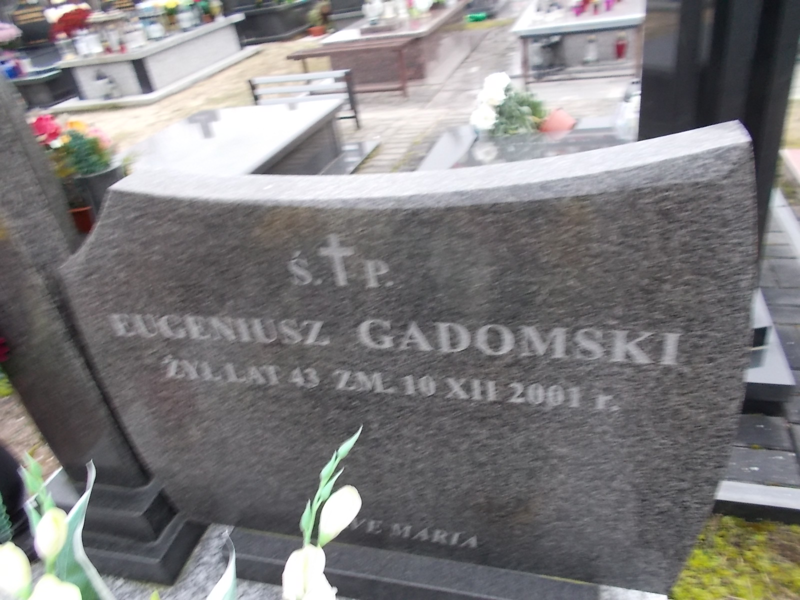 Eugeniusz Gadomski 1958 Ostrołęka - Grobonet - Wyszukiwarka osób pochowanych