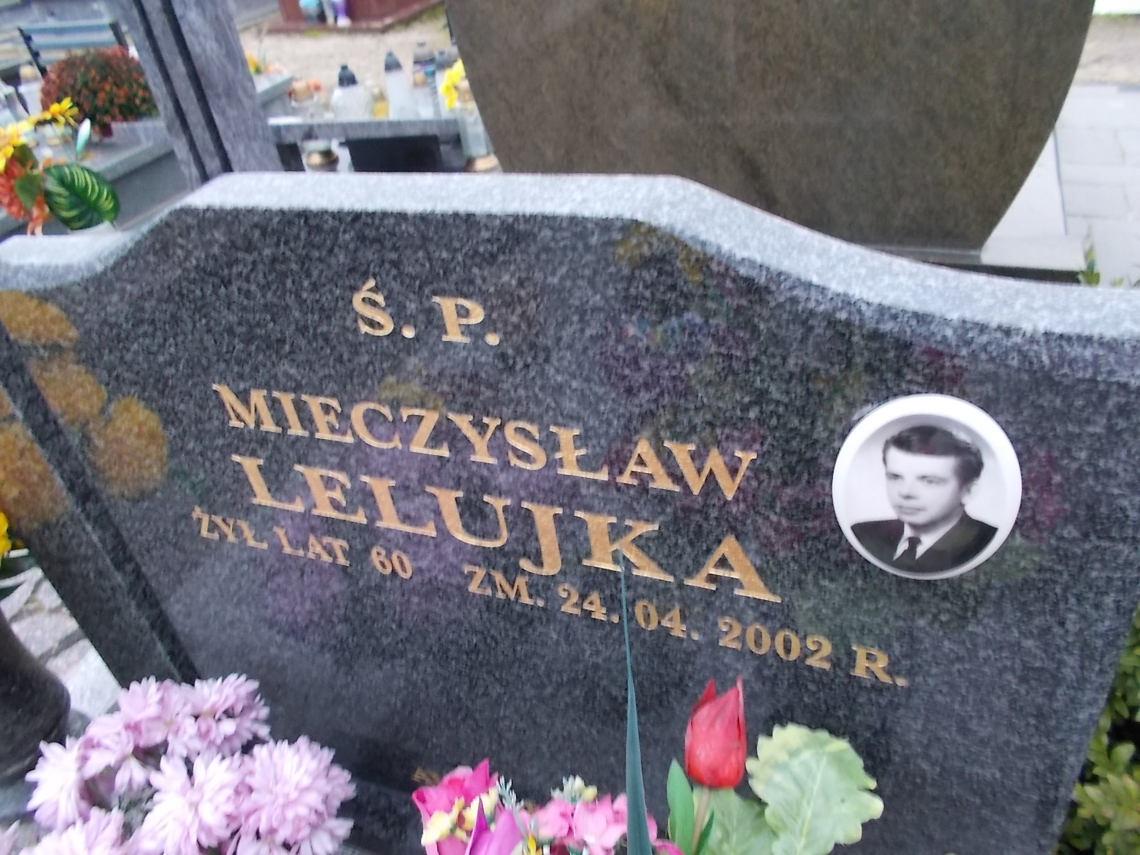 Mieczysław Lelujka 1942 Ostrołęka - Grobonet - Wyszukiwarka osób pochowanych