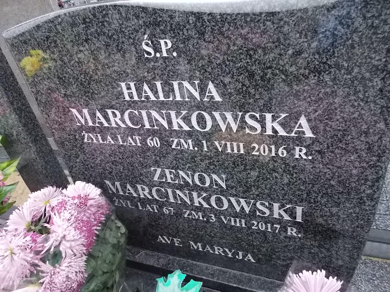 Zenon Tadeusz MARCINKOWSKI 1950 Ostrołęka - Grobonet - Wyszukiwarka osób pochowanych