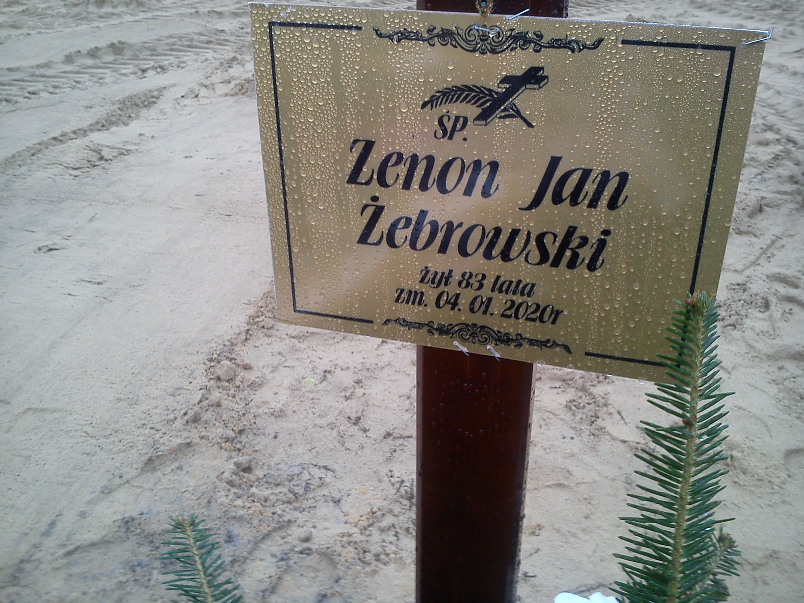 Zenon Jan Żebrowski 1937 Ostrołęka - Grobonet - Wyszukiwarka osób pochowanych