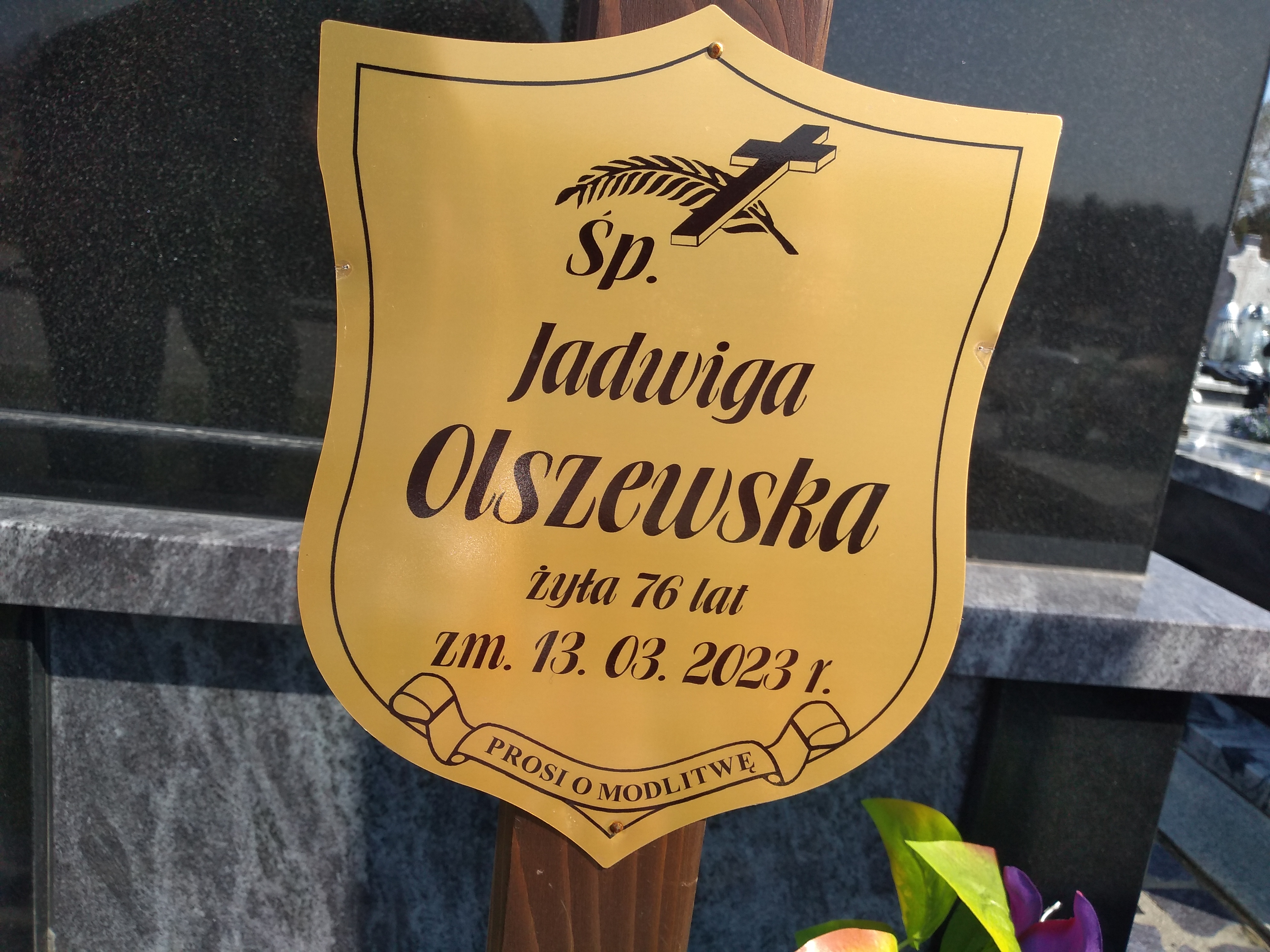 Jadwiga Olszewska 1946 Ostrołęka - Grobonet - Wyszukiwarka osób pochowanych