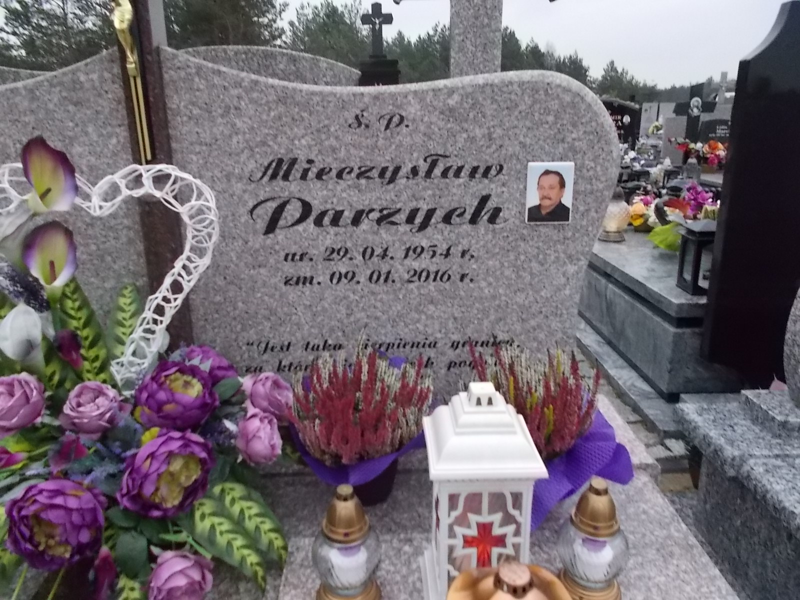 Mieczysław Parzych 1954 Ostrołęka - Grobonet - Wyszukiwarka osób pochowanych