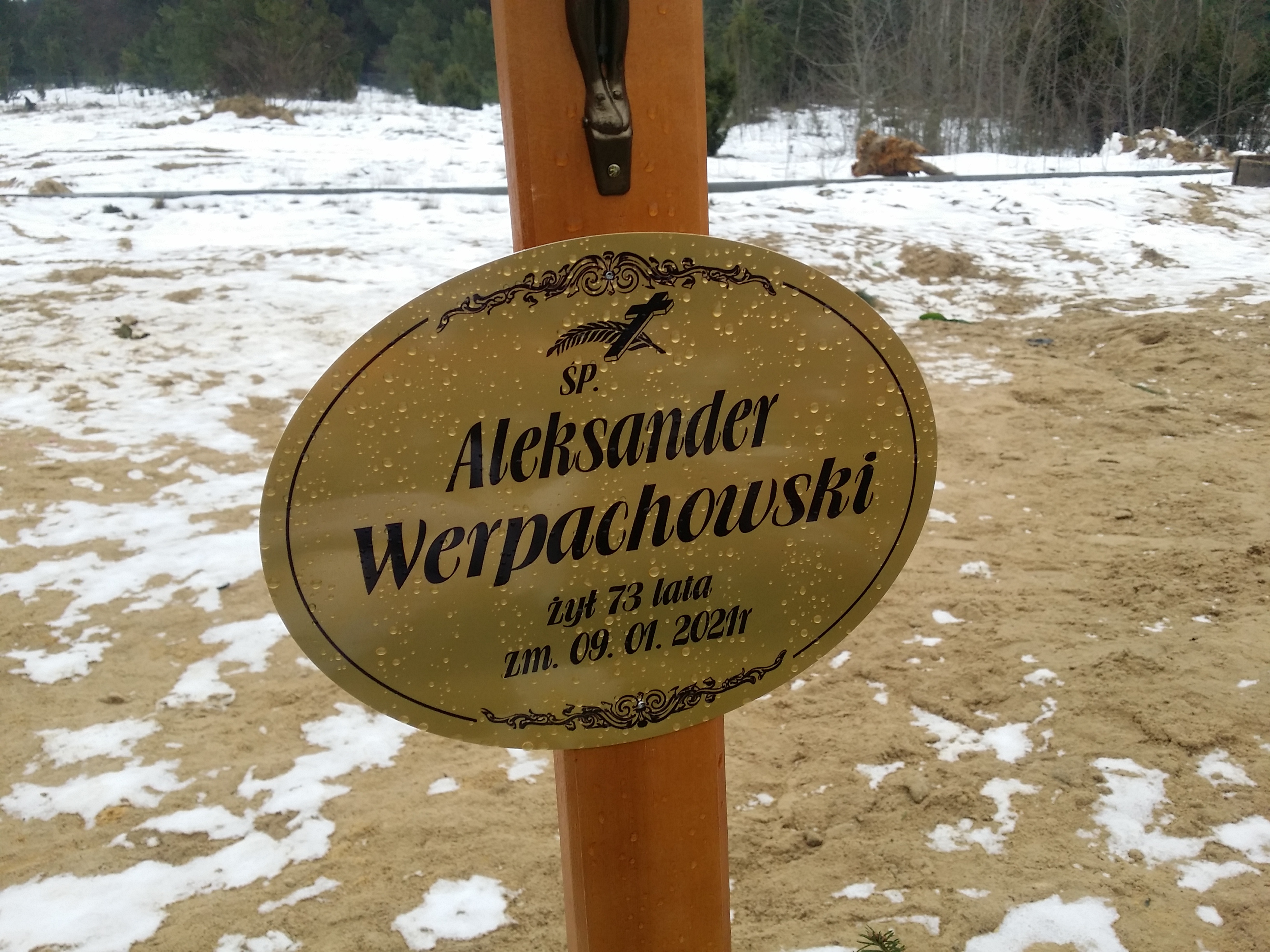 Aleksander Werpachowski 1948 Ostrołęka - Grobonet - Wyszukiwarka osób pochowanych